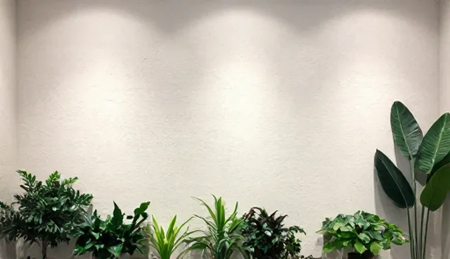 技术开发合作中的方案设计检查要点
